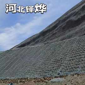 常州环形建筑安全网价格