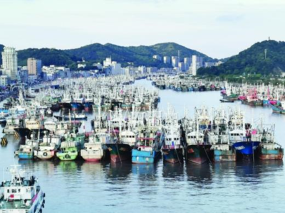 汽车驾驶室隔离安全网