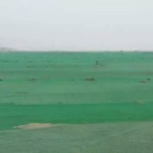韶关国标安全网经销商