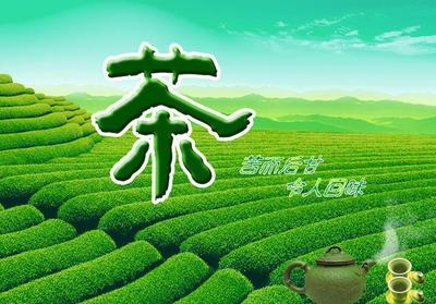 茶业食品安全认证标志查询