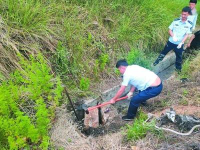 静安区安全网费用查询