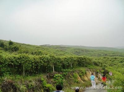 广西安全环保产品认证
