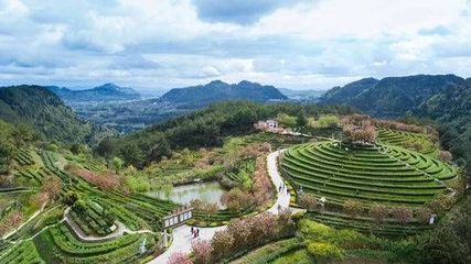 巴中建筑安全网批发价