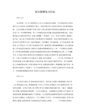 审计实习日志200字