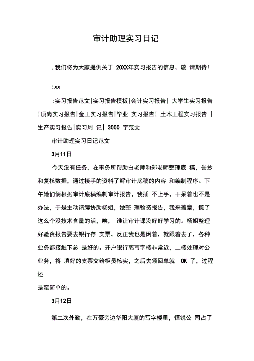 审计实习日志200字