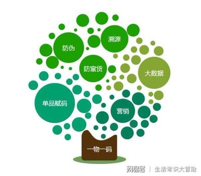用互联网 助力食品安全