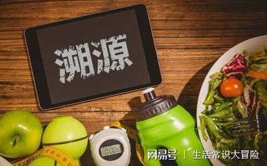 有机安全食品互联网
