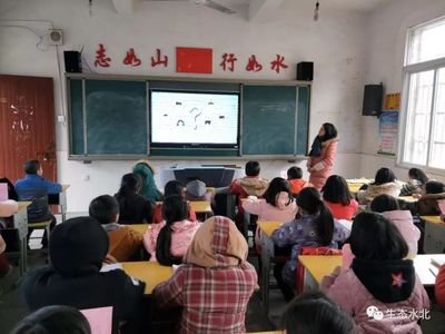 护苗安全网络课的资料