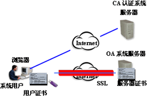 内网安全嗅探