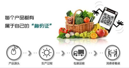 有机安全食品互联网