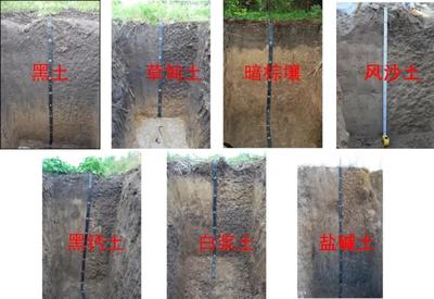 黑土地保护等级查询