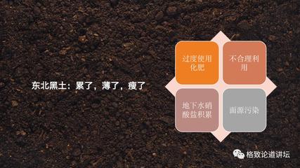 黑土地保护等级查询