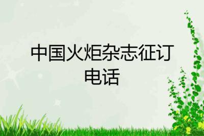 惠民污水井安全网