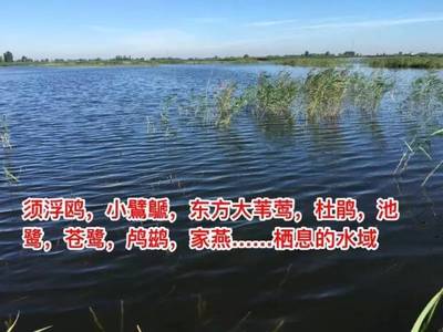 白洋淀湿地保护区等级