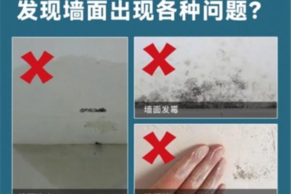 快速翻新墙面