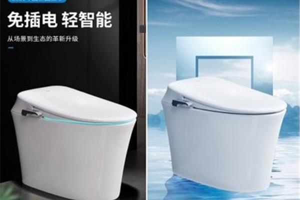 中国十大马桶