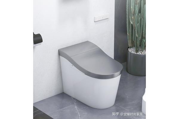 中国十大马桶