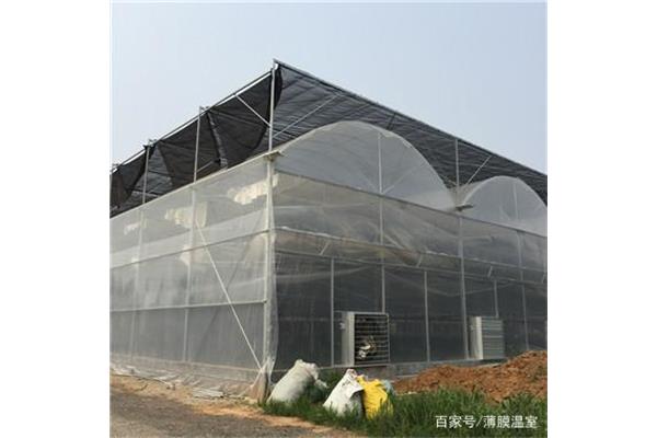 日光温室大棚设计图