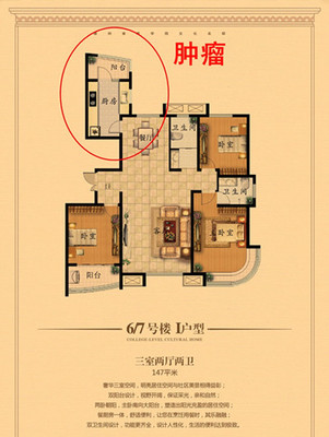 房子买什么样的户型好