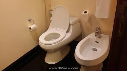 马桶维修多少钱