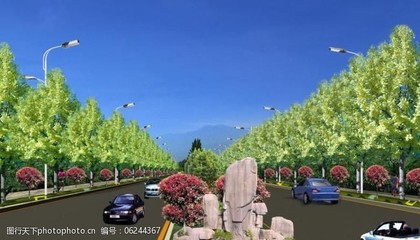 道路绿化带设计