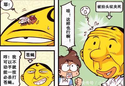 为什么厨房好多苍蝇