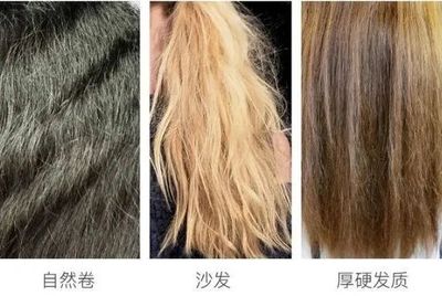 发质是沙发