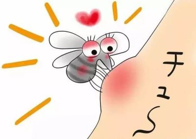 蚊子是怎么进房间的