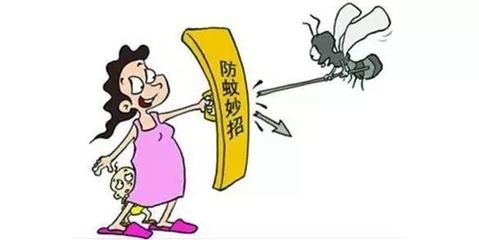 蚊子是怎么进房间的