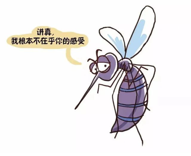 蚊子是怎么进房间的
