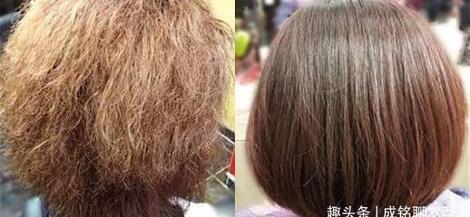 发质是沙发
