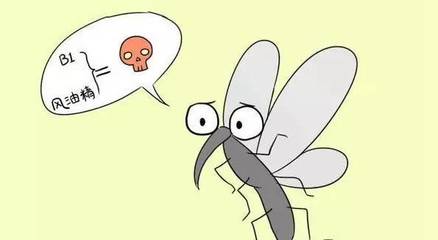 蚊子是怎么进房间的