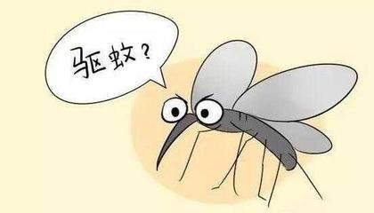 蚊子是怎么进房间的