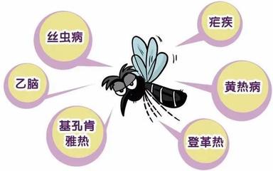 蚊子是怎么进房间的