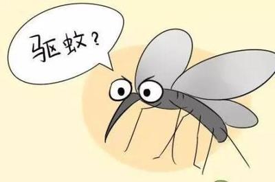 蚊子是怎么进房间的