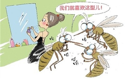 蚊子是怎么进房间的