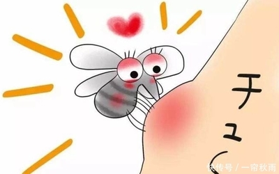 蚊子是怎么进房间的