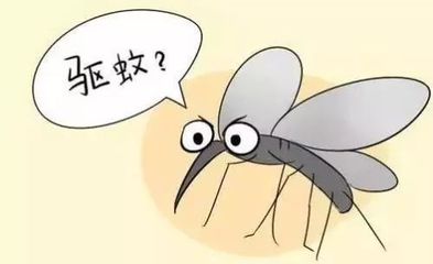 蚊子是怎么进房间的