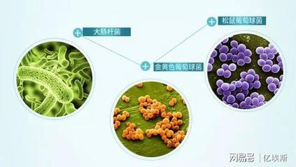 厨房细菌用什么作用