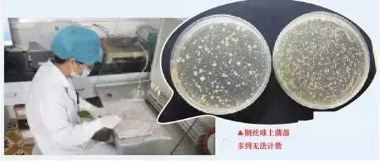 厨房细菌用什么作用