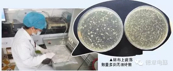厨房细菌用什么作用