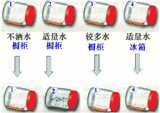 b字母开头的橱柜