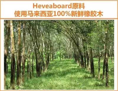 博洛尼 橱柜 橡胶木