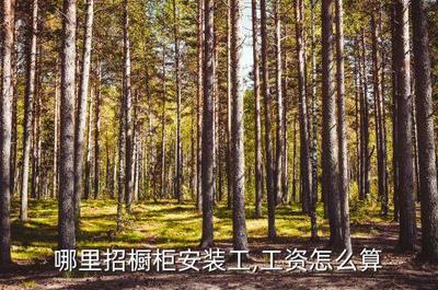 枣庄有招橱柜安装工