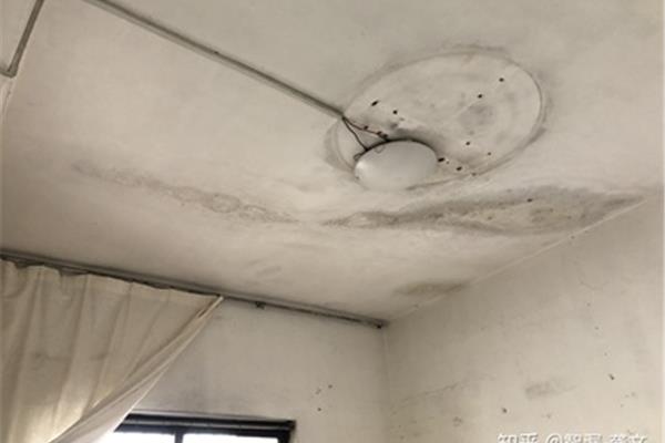 顶楼一定漏水吗